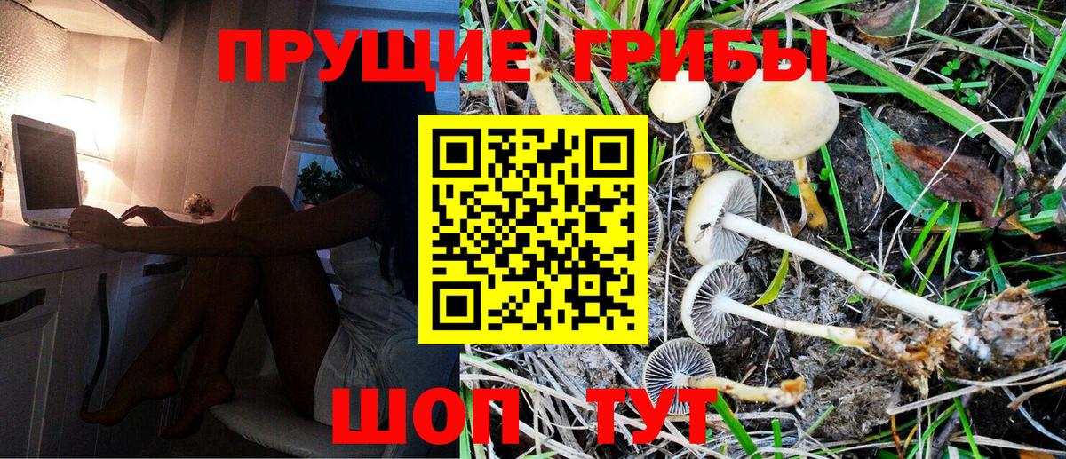 Псилоцибиновые грибы Magic Shrooms Алапаевск