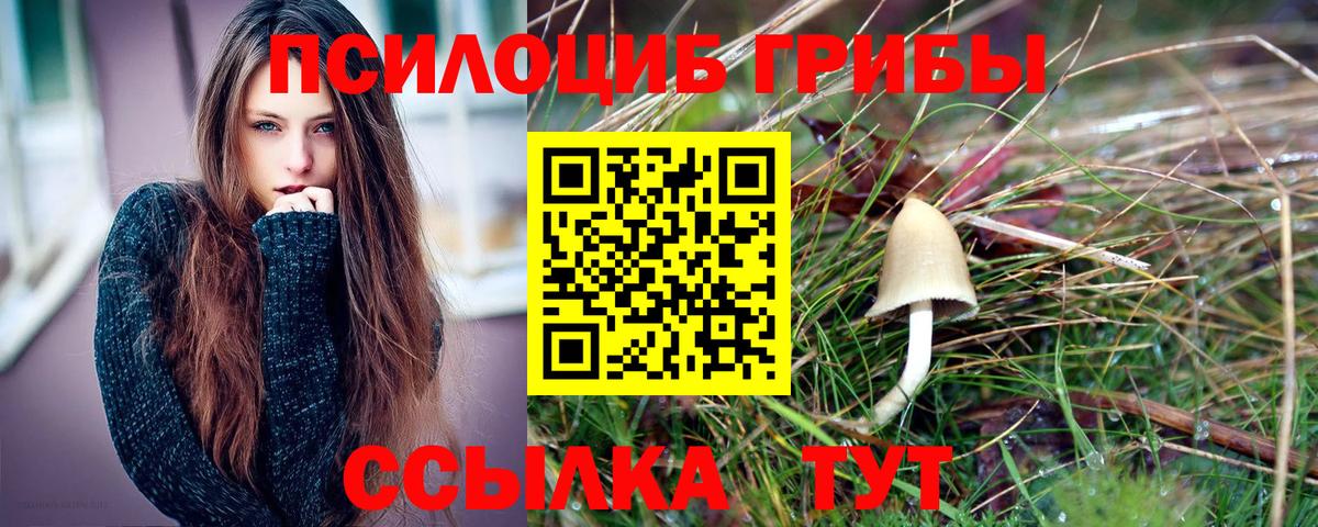 Алапаевск  как найти наркотики  Галлюциногенные грибы Psilocybine cubensis  Вход с VPN  Галлюциногенные грибы Psilocybine cubensis 